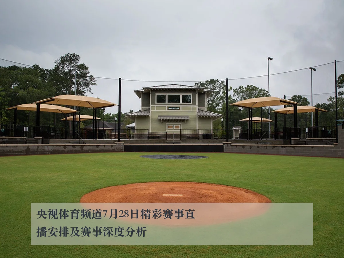 央视体育频道7月28日精彩赛事直播安排及赛事深度分析