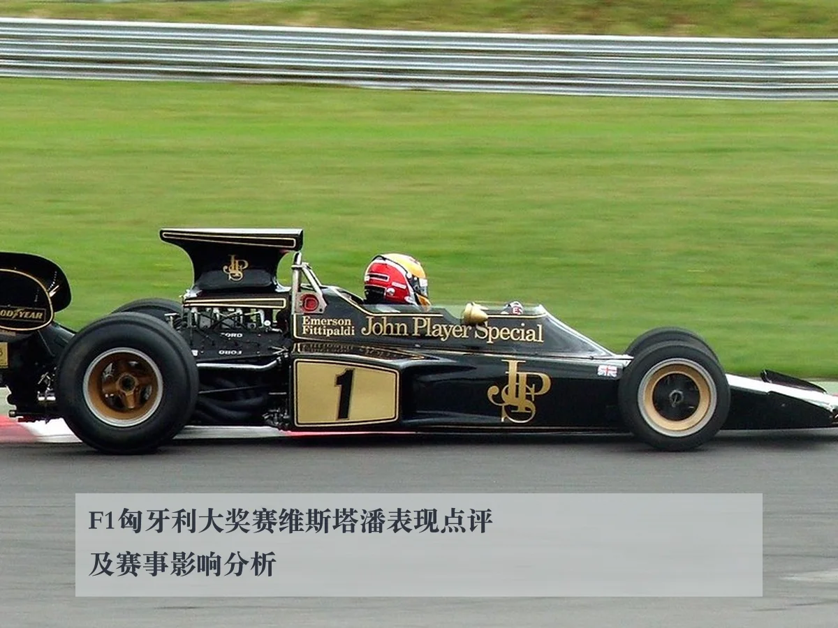 F1匈牙利大奖赛维斯塔潘表现点评及赛事影响分析
